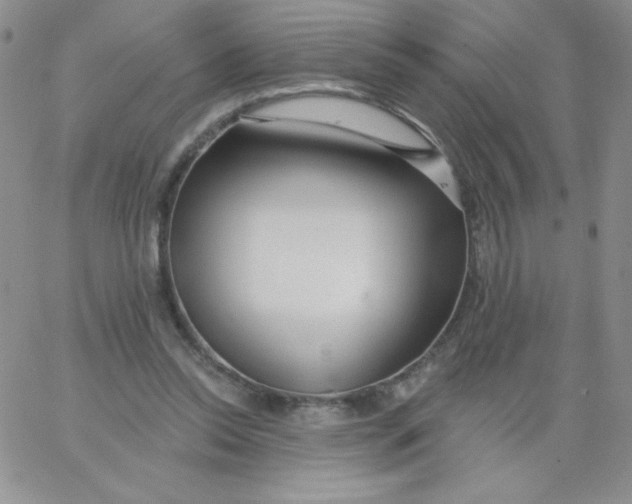 X0000062910350200602031902