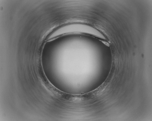 X0000062910352200602031902