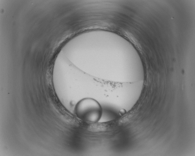 X0000062910354200602031902