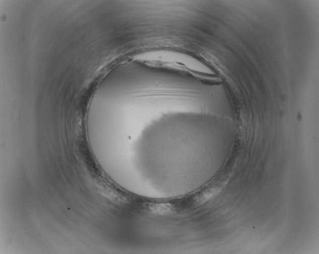 X0000062910355200602031903