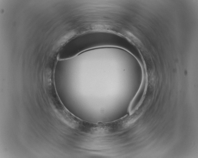 X0000062910356200602031903