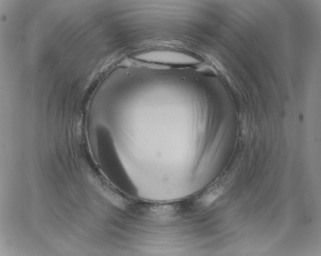 X0000062910357200602031903