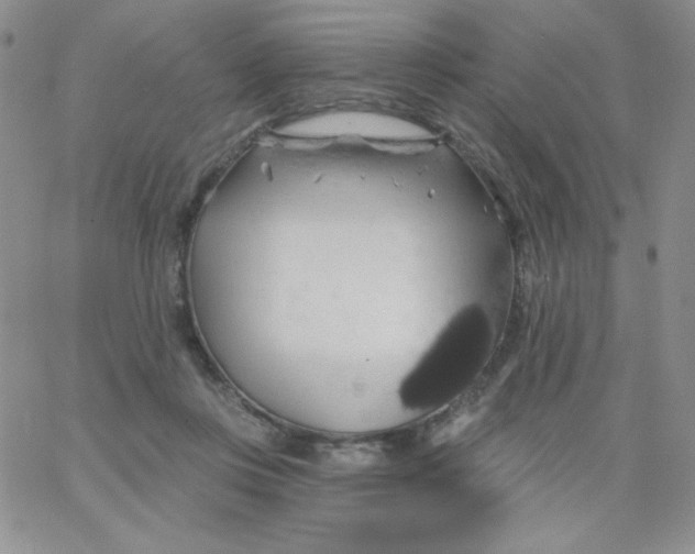 X0000062910359200602031903