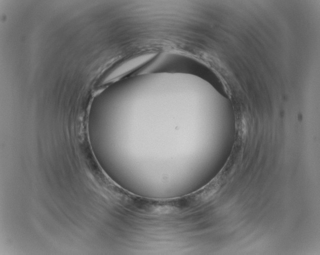 X0000062910360200602031903