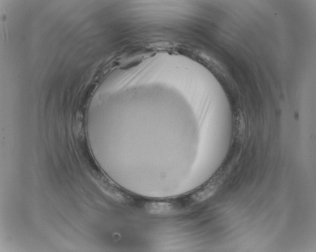 X0000062910361200602031903