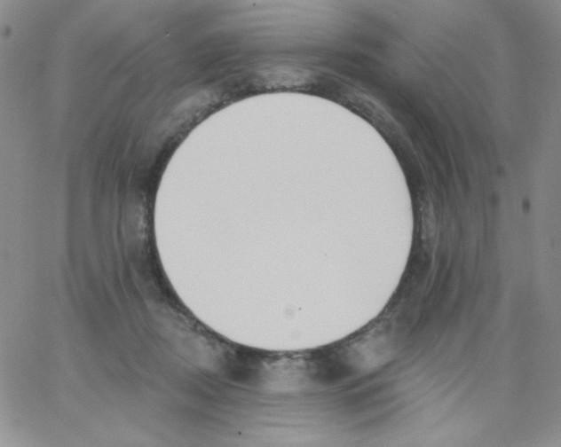 X0000062910362200602031903