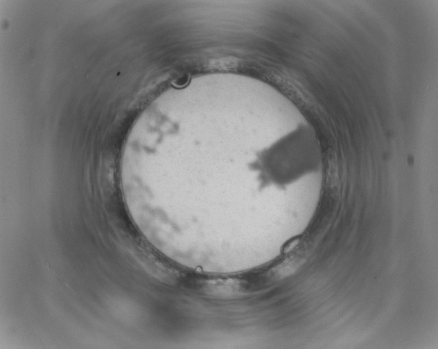 X0000062910363200602031903