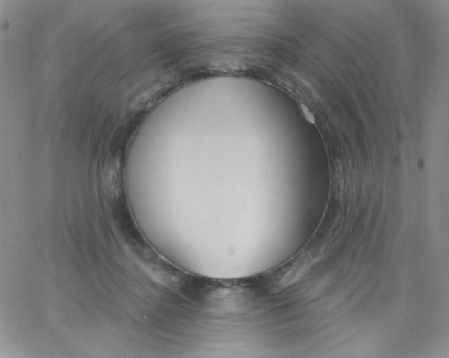 X0000062910364200602031903