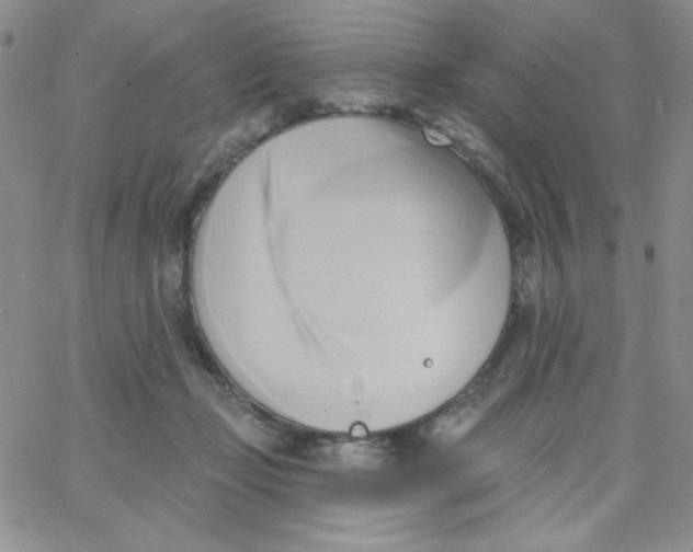 X0000062910365200602031903