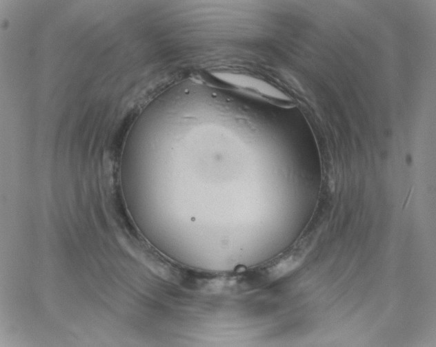 X0000062910366200602031903