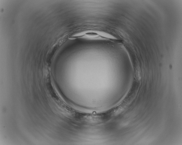 X0000062910367200602031903