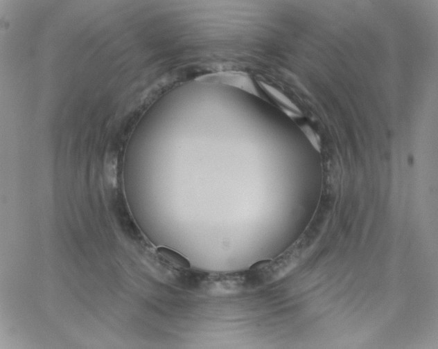 X0000062910368200602031903