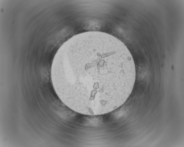 X0000062910370200602031903