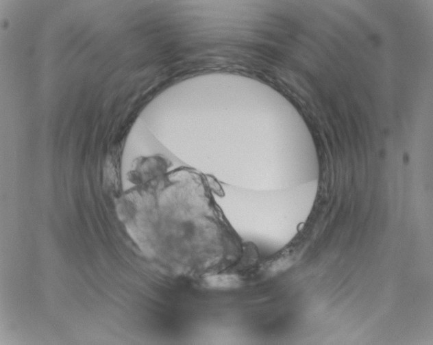 X0000062910371200602031903