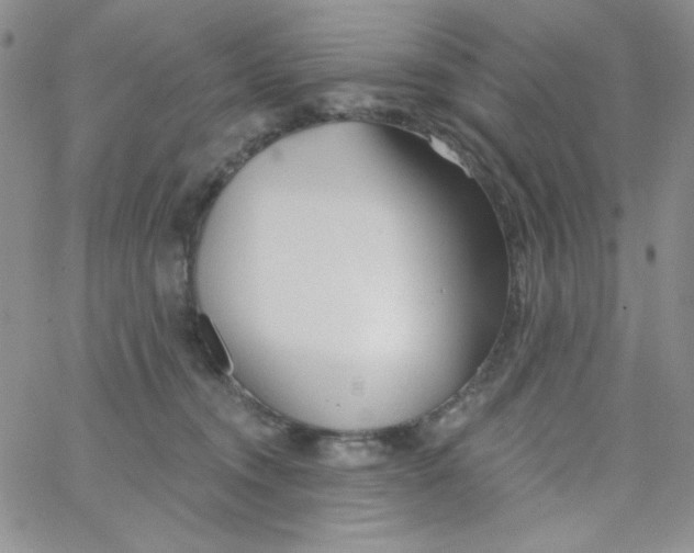 X0000062910372200602031903