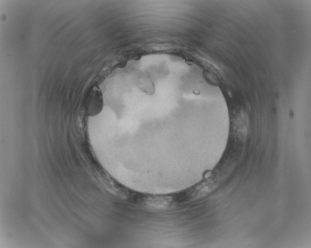 X0000062910373200602031903