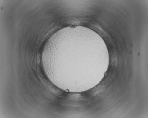 X0000062910374200602031903