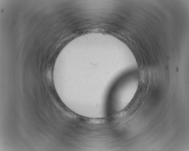 X0000062910375200602031903