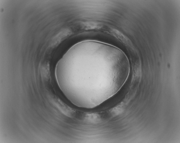 X0000062910376200602031903