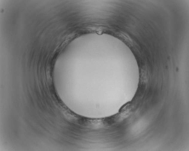 X0000062910377200602031903