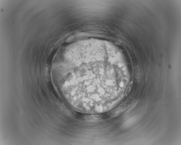 X0000062910378200602031903