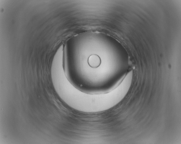 X0000062910380200602031903