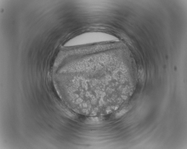 X0000062910381200602031903