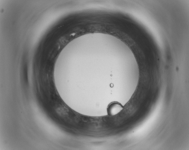 X0000062910382200602031903