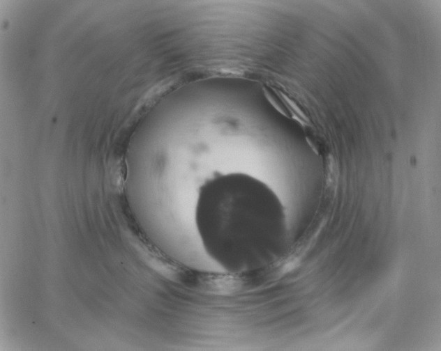 X0000062910383200602031903