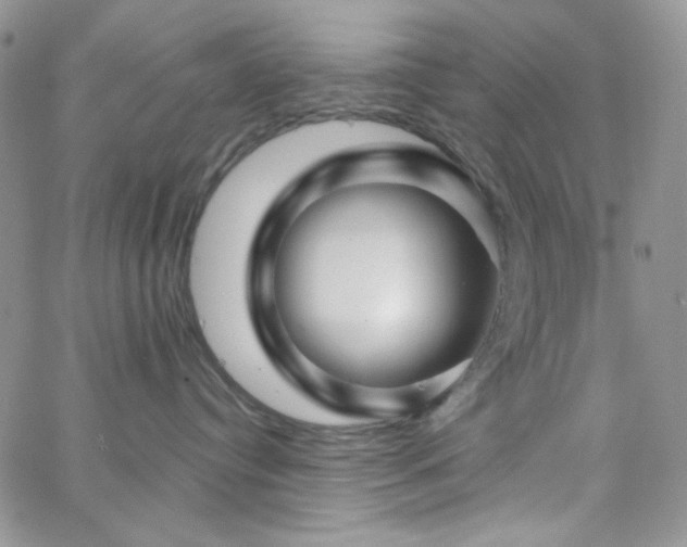 X0000062910384200602031903