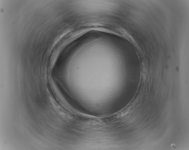 X0000062910386200602031902