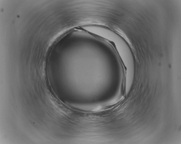 X0000062910387200602031902