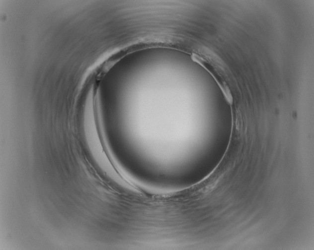 X0000062910388200602031902