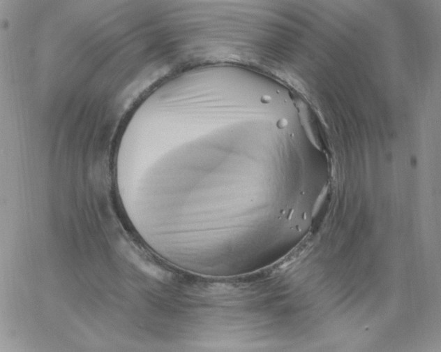 X0000062910390200602031902