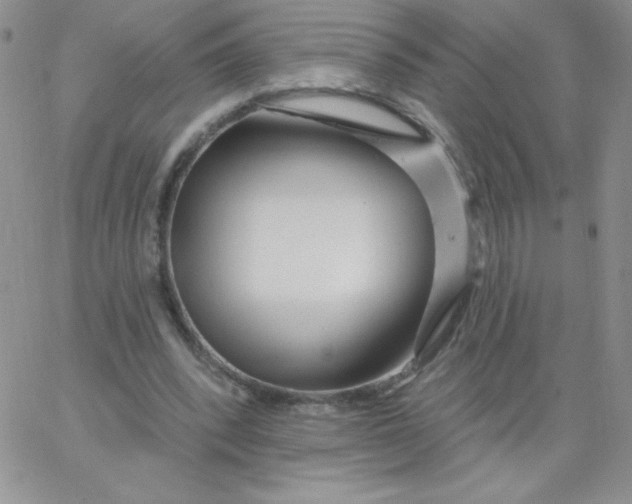 X0000062910392200602031902