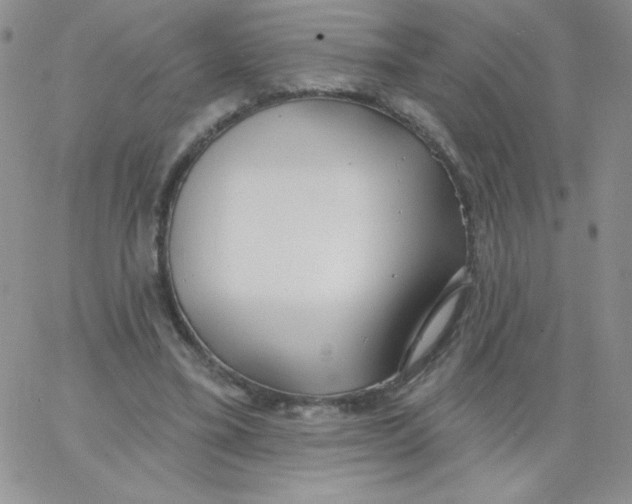 X0000062910395200602031902