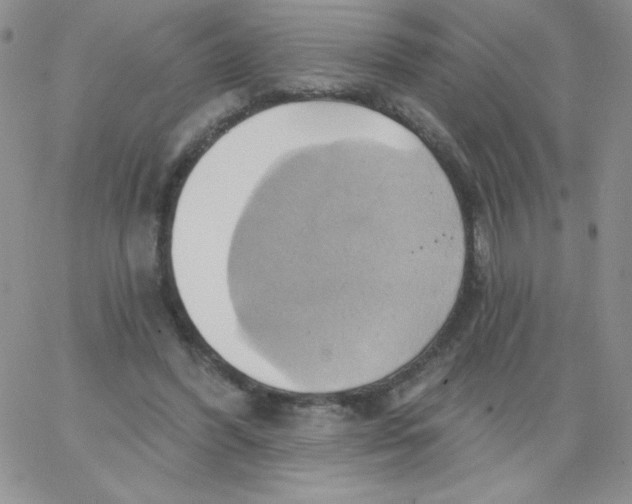 X0000062910396200602031902