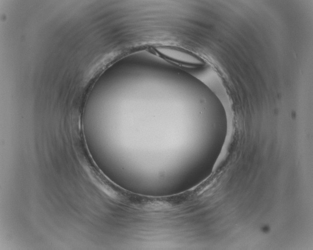 X0000062910397200602031902