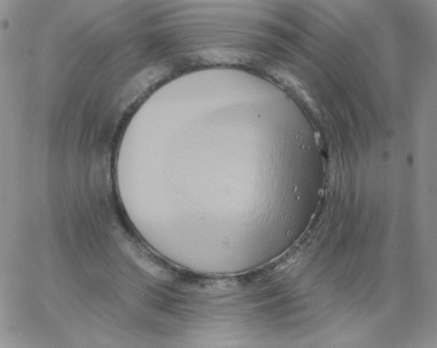 X0000062910398200602031902