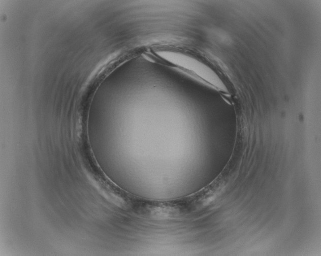 X0000062910400200602031902