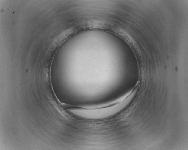 X0000062910401200602031902