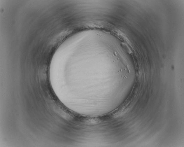 X0000062910402200602031902