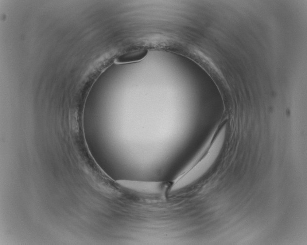 X0000062910403200602031902