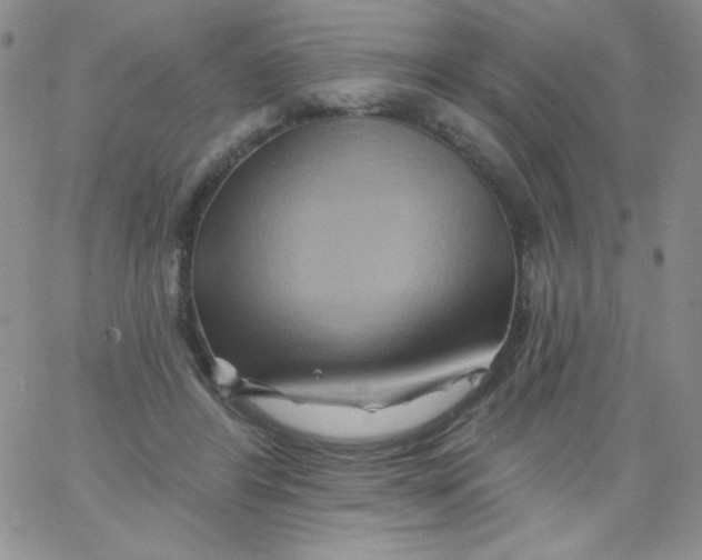 X0000062910404200602031902