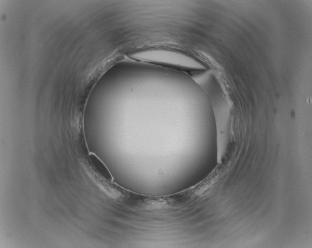 X0000062910405200602031902