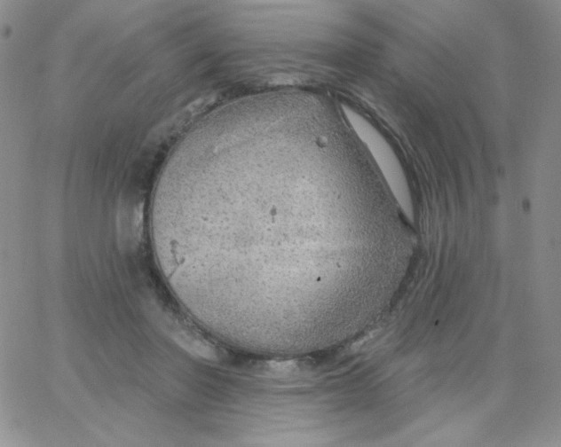 X0000062910406200602031902