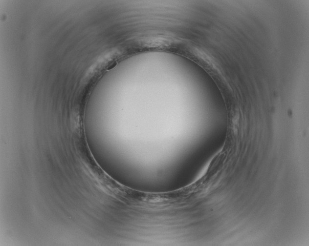 X0000062910407200602031902