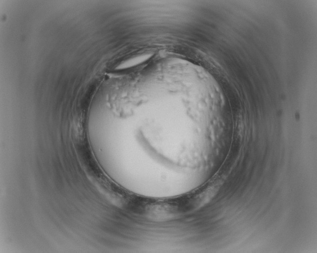 X0000062910408200602031902