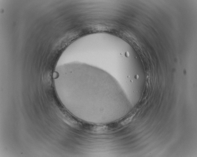 X0000062910410200602031902