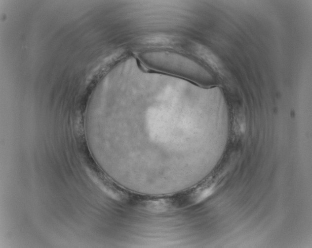 X0000062910411200602031902